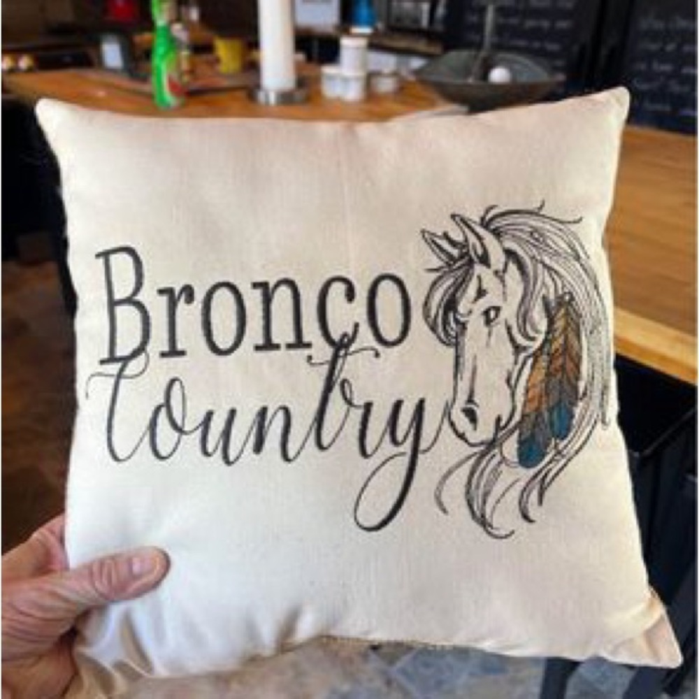 EUC Custom Bronco’s Pillow